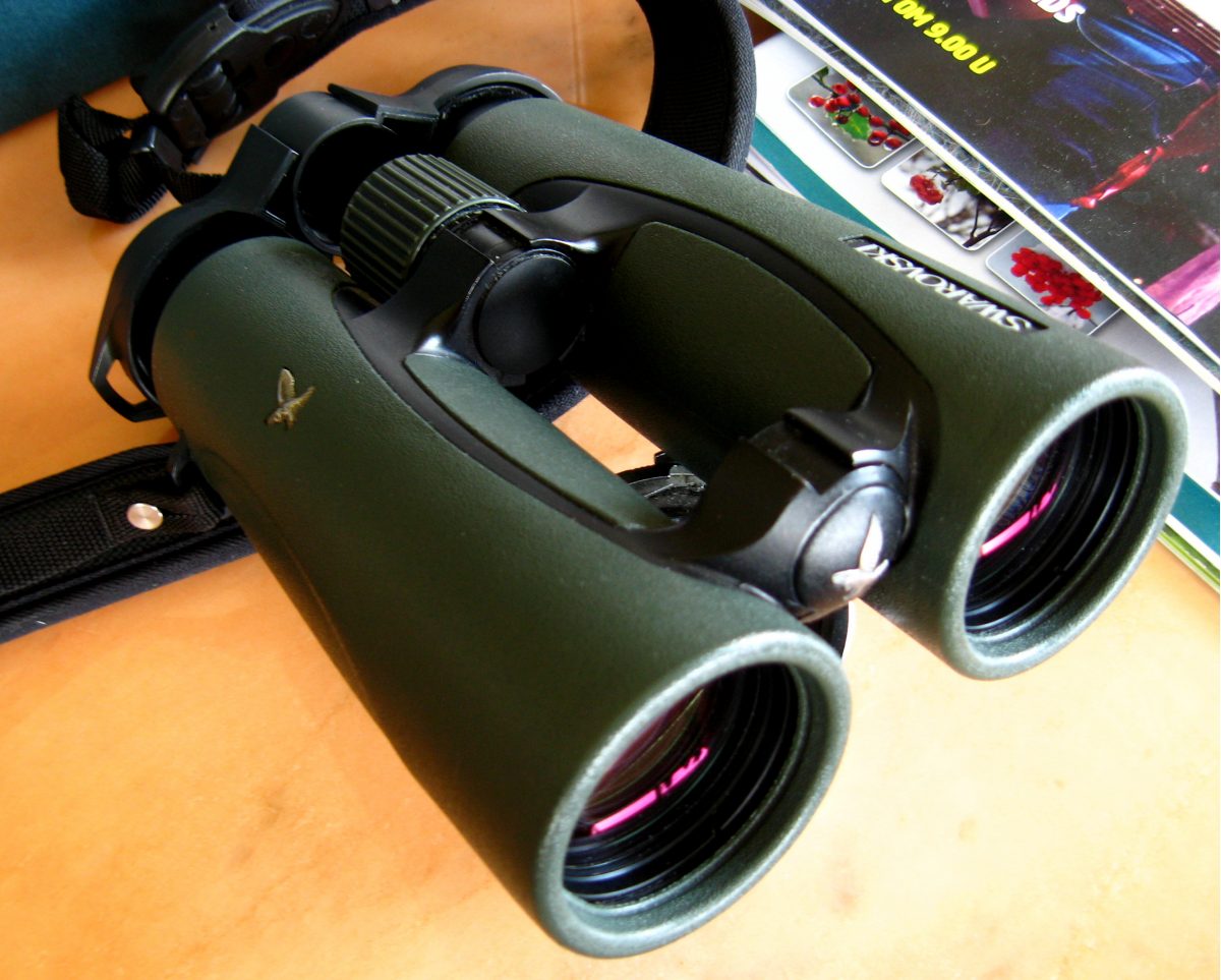 Verrekijker Swarovision 10X42