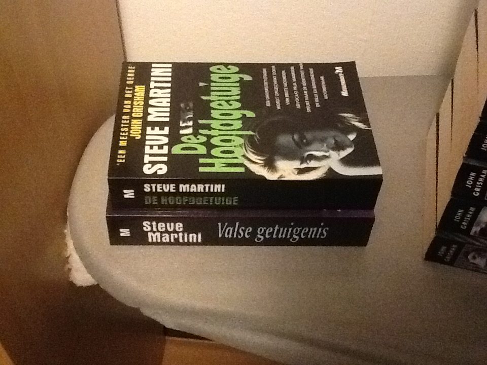 Steve martni thrillers