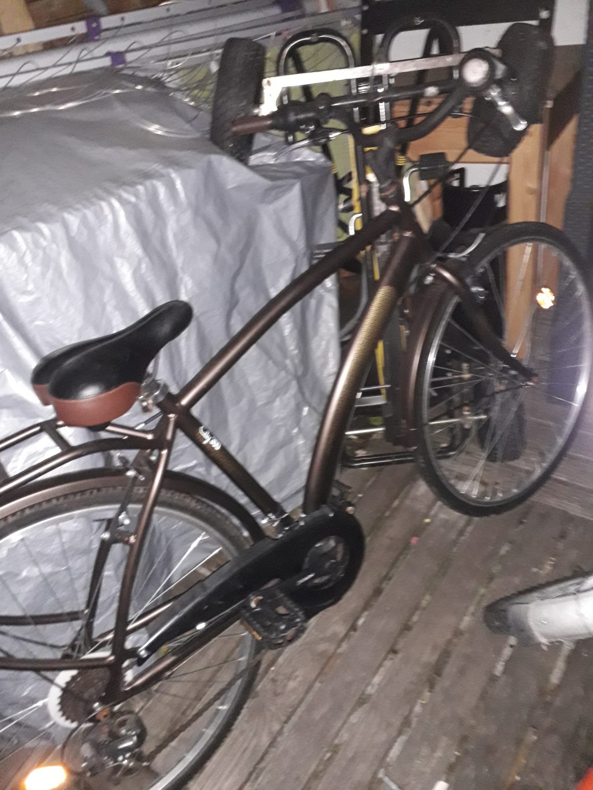 Mannenfiets
