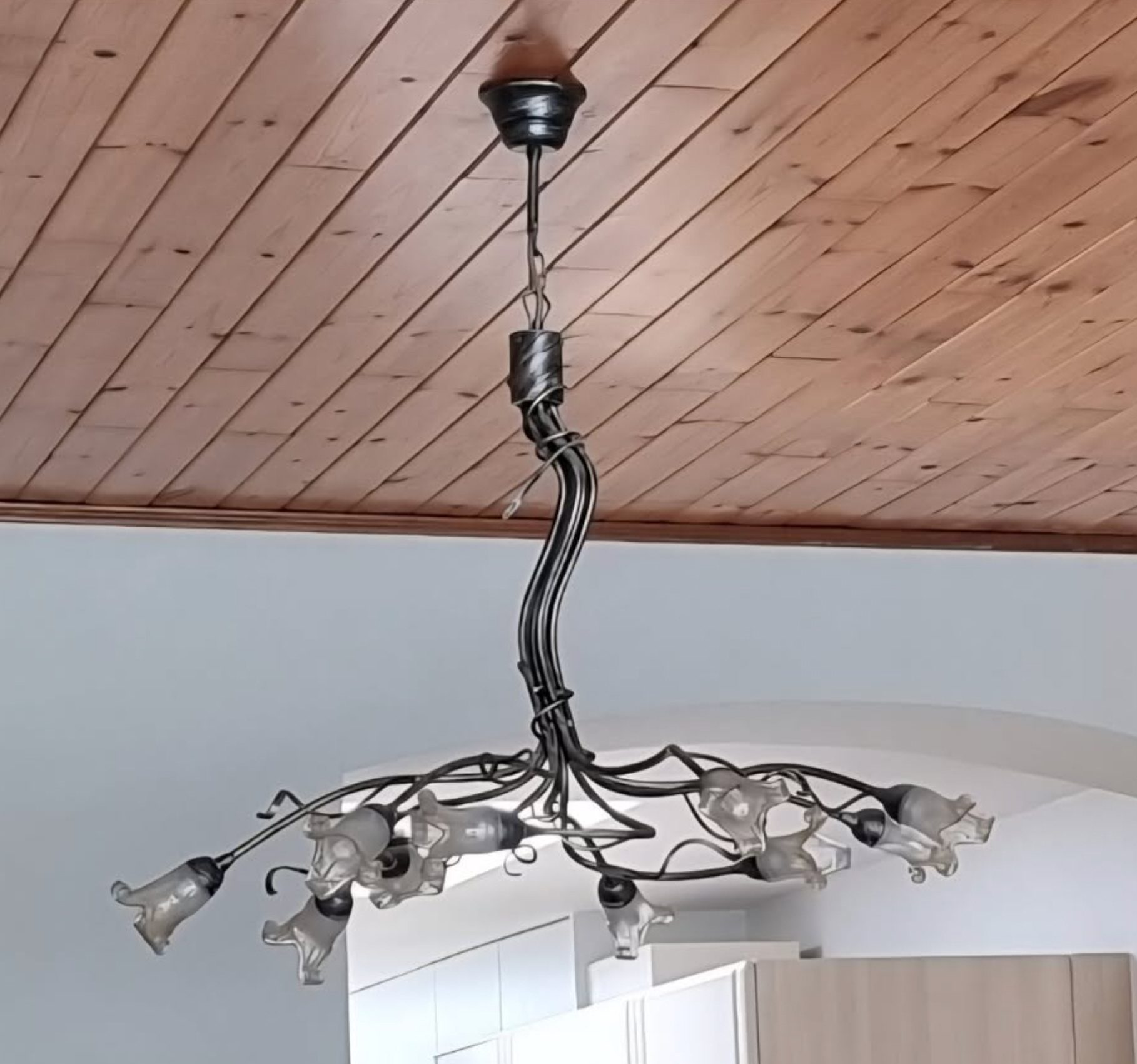Moderne Hanglamp met Uniek Ontwerp