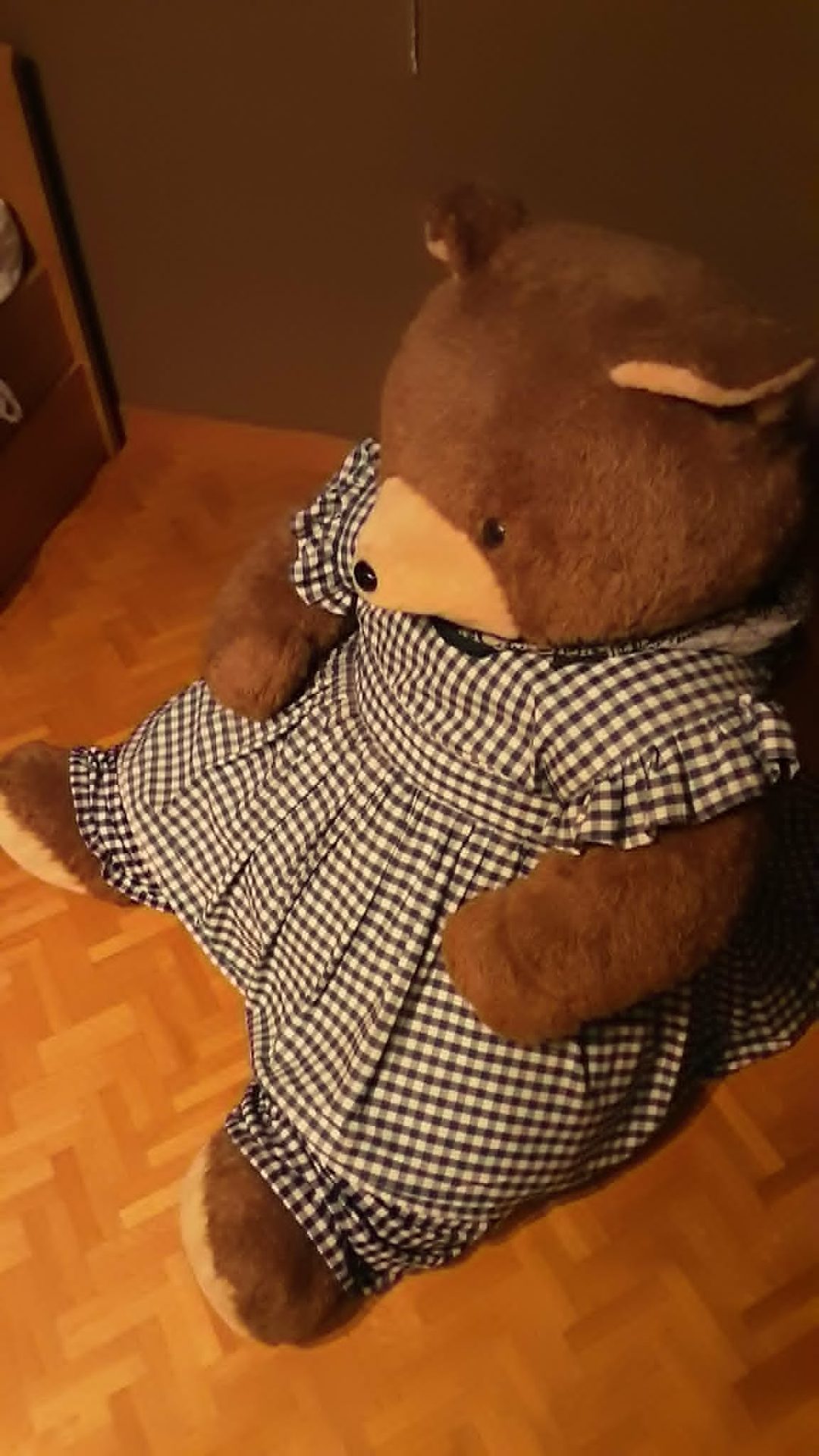 Grote knuffelbeer in jurk