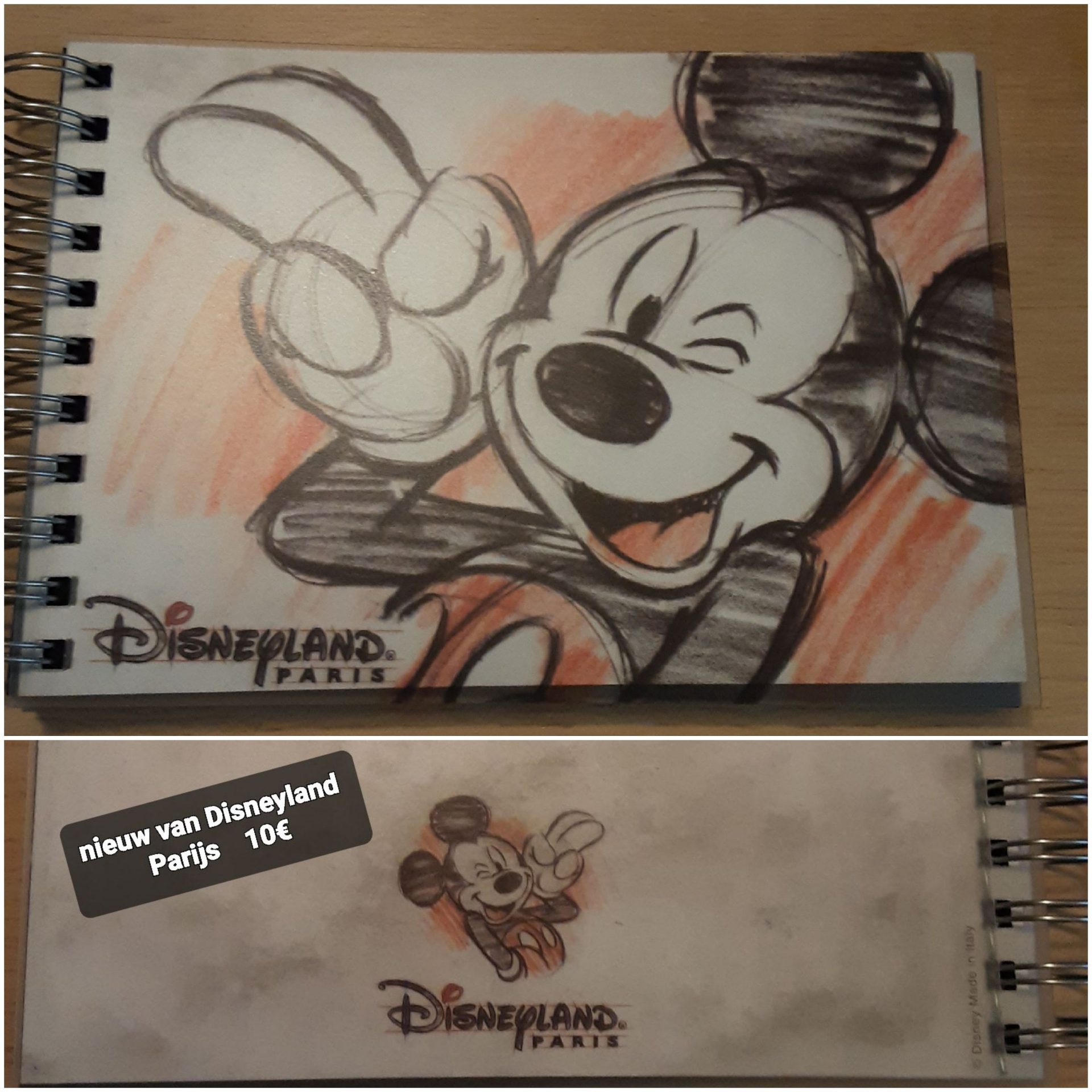 Disneyland Parijs notitieboek met Mickey Mouse
